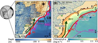 Late Pleistocene to Holocene variations in marine productivity and terrestrial material delivery to the western South Atlantic